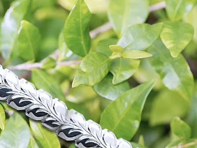 モチーフマイレリーフ