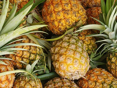 モチーフパイナップル